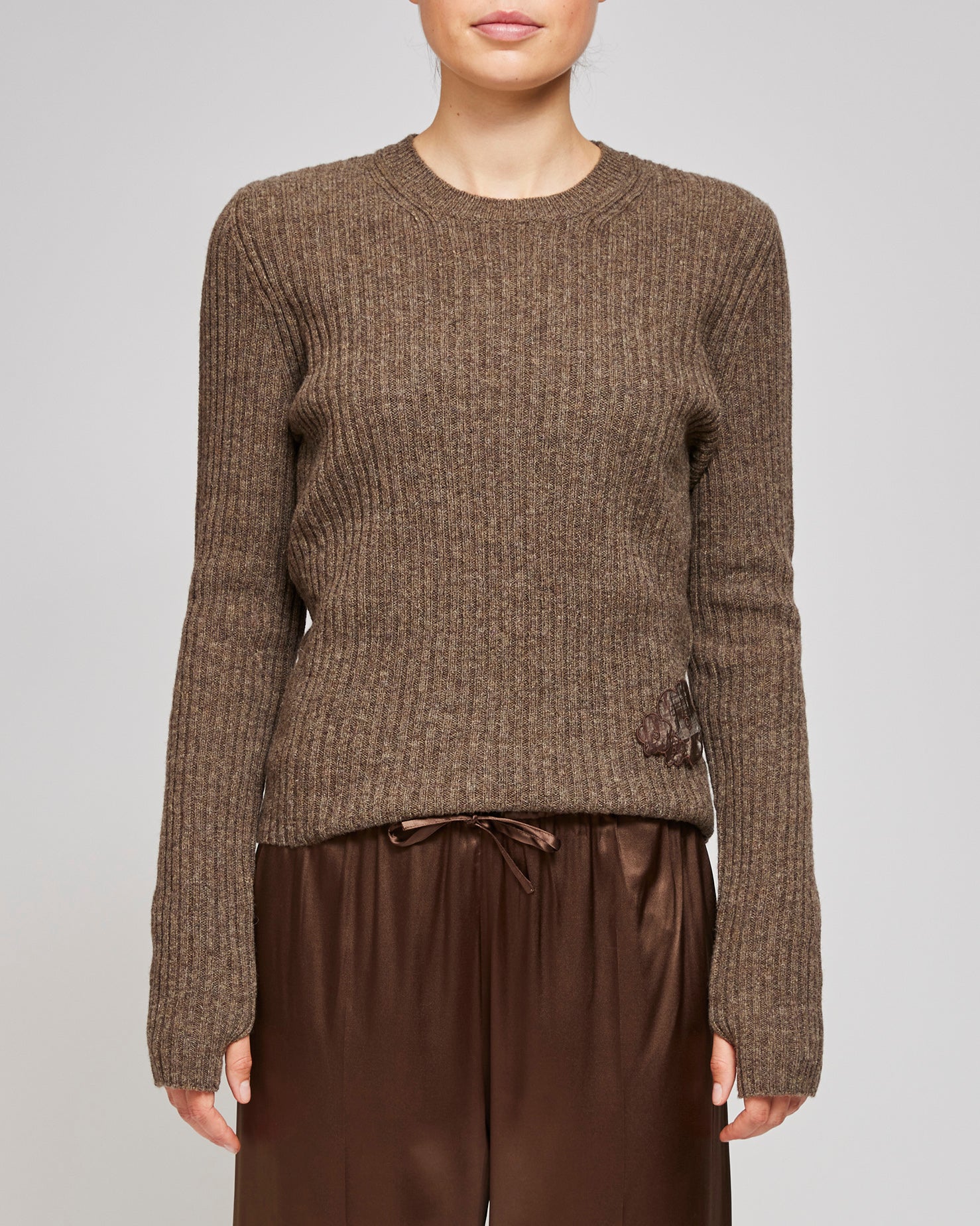 Cecilie Bahnsen Brown Blas Pullover